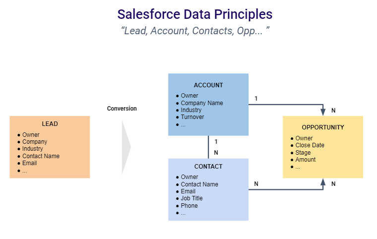 Salesforce data principle